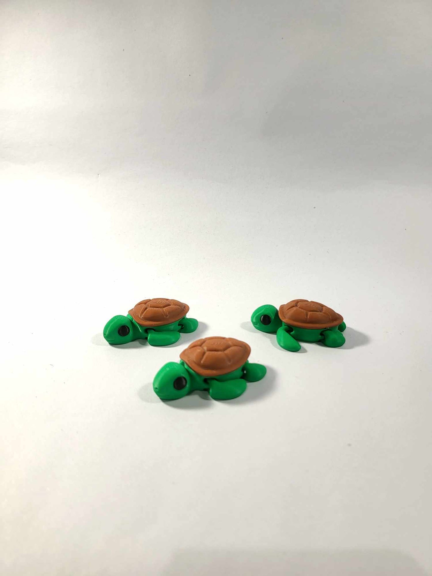 Mini Turtle Fidget